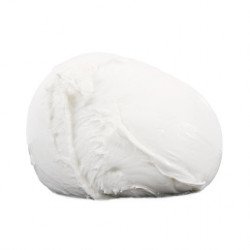 Mozzarella Cheese