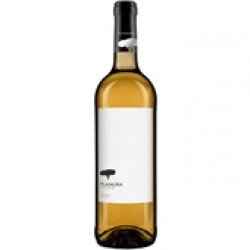 Planura Branco Alentejo 750mL