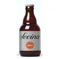 Cerveja com Álcool Amber 330mL