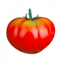 Buffalo Heart Tomato