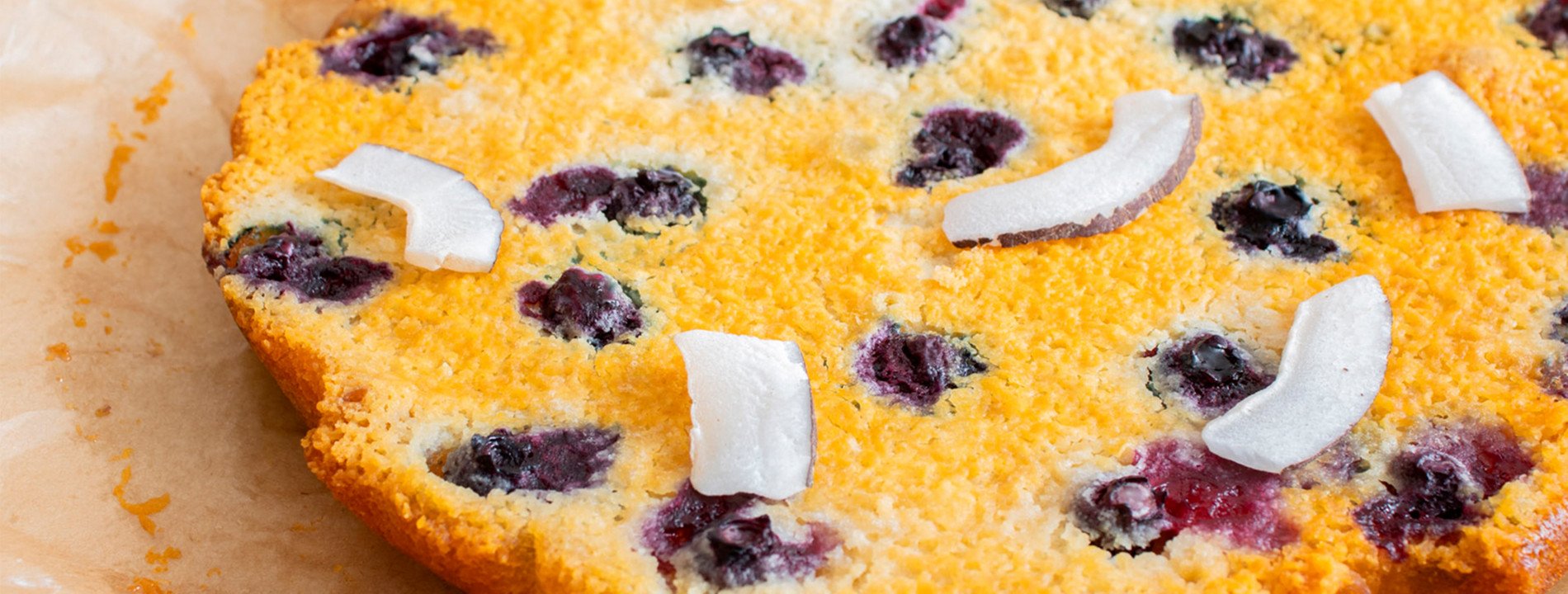 Coconut and Blueberries Cake