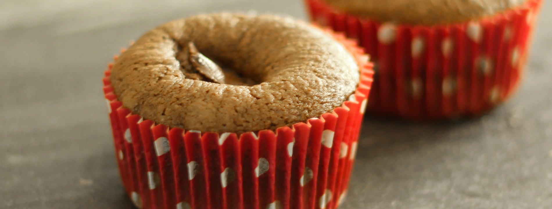 Chocolate muffins