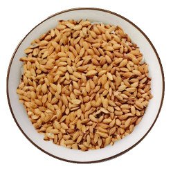 Brown Rice