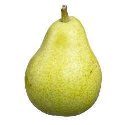 Rocha Pear