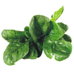 Spinach