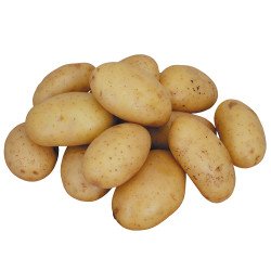 White Potato