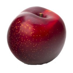 Red Plum