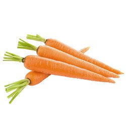 Carrot