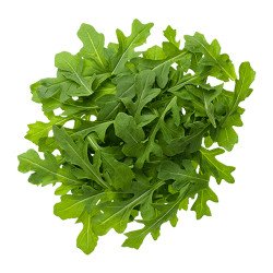 Arugula