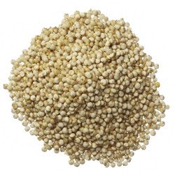 Quinoa Branca Cozida