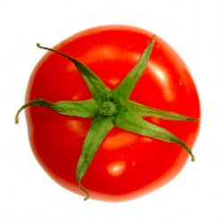 Tomate